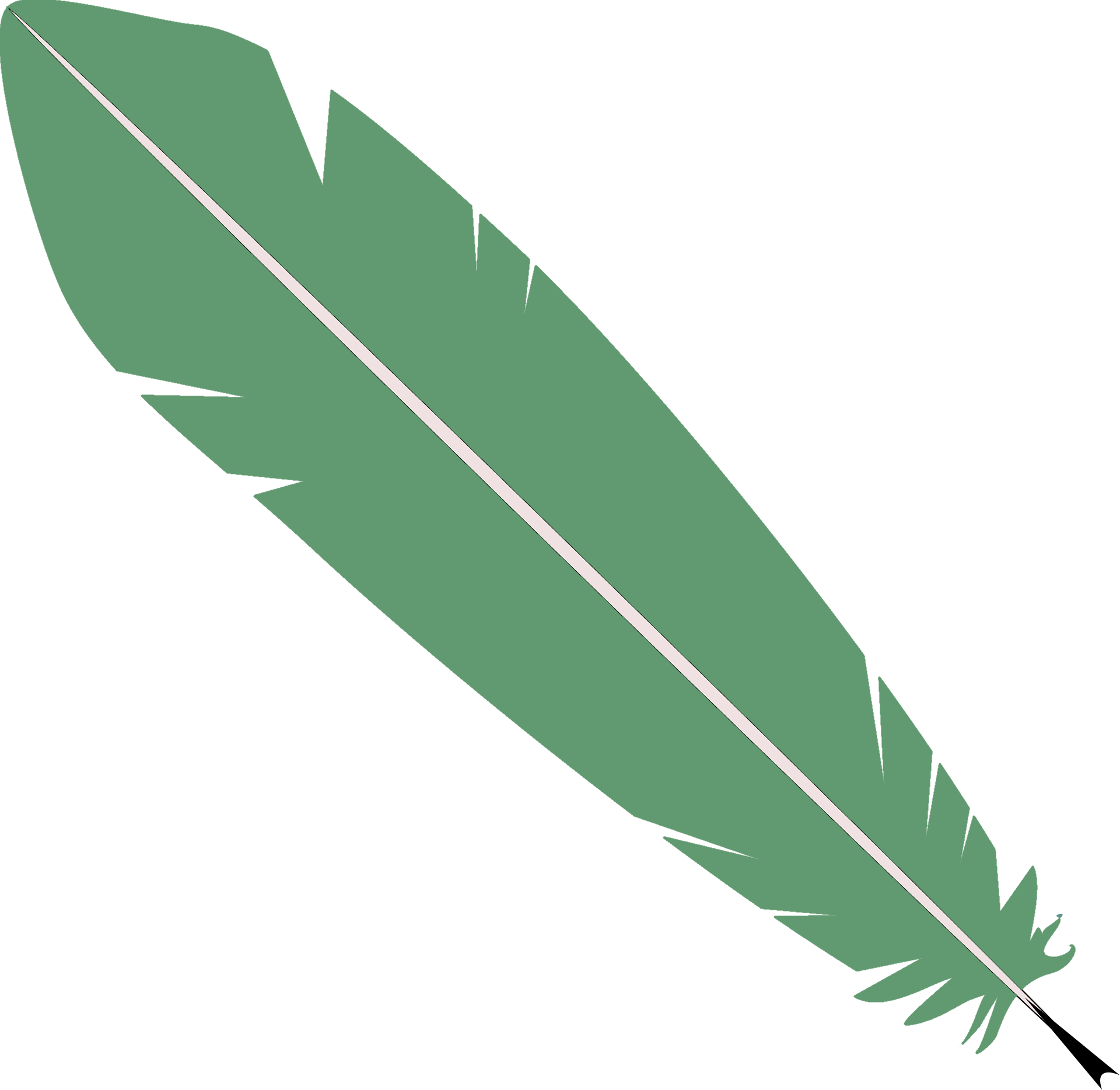 Animal Fact icon